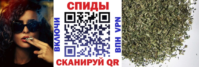 Бутират BDO  что такое   Ершов 