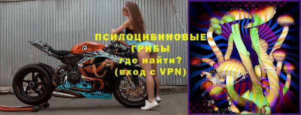 молекула духа Сосновоборск