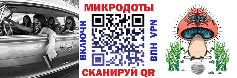 Галлюциногенные грибы Psilocybine cubensis  даркнет сайт  Ершов 