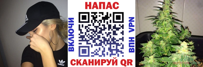 купить закладку  Ершов  МАРИХУАНА сатива 